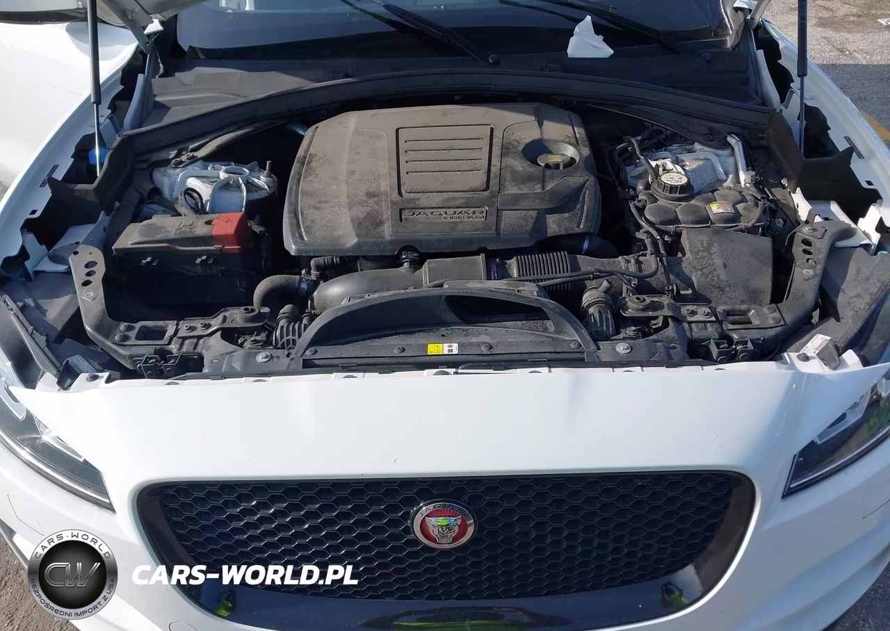 2018 Jaguar F-Pace 25T Premium VIN:SADCJ2FX9JA272315 - 10