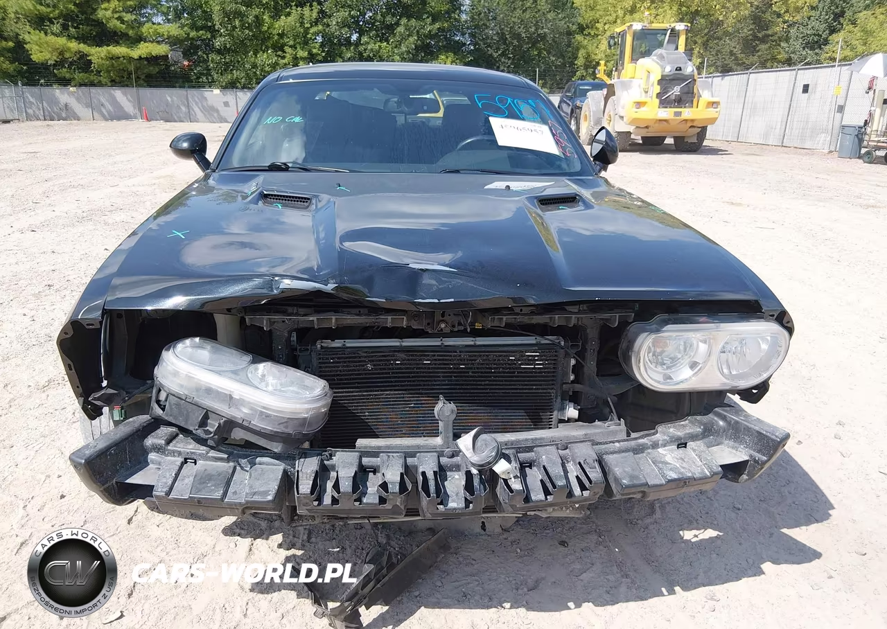 2010 Dodge Challenger R-T VIN:2B3CJ5DT6AH234850 - 13