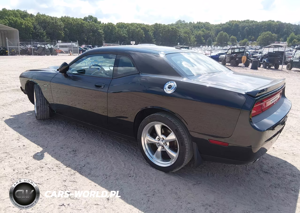 2010 Dodge Challenger R-T VIN:2B3CJ5DT6AH234850 - 3