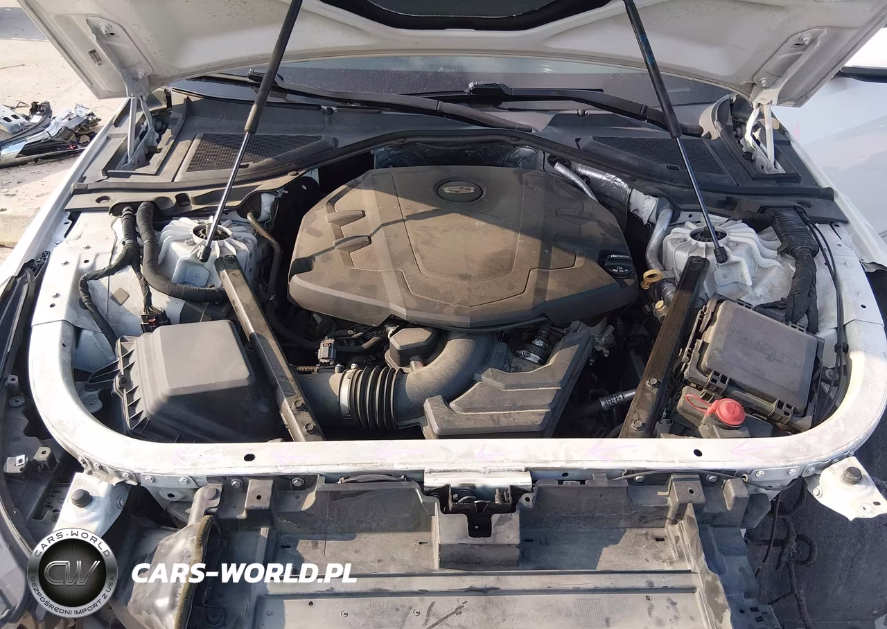 2019 Cadillac Ct6 Luxury VIN:1G6KB5RS0KU131898 - 10