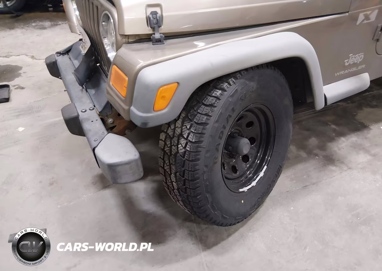 2004 Jeep Wrangler X VIN:1J4FA39S64P787301 - 18