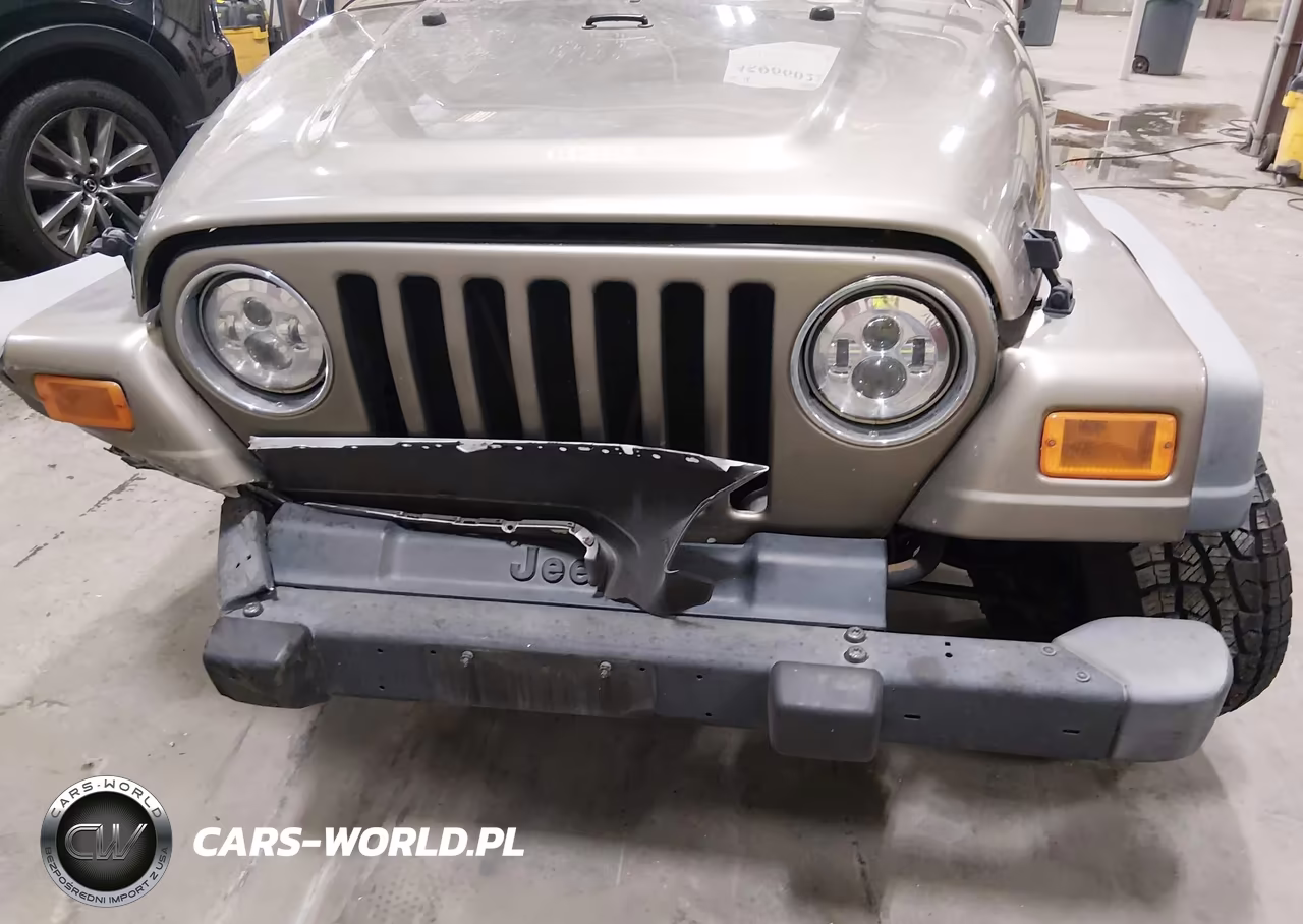 2004 Jeep Wrangler X VIN:1J4FA39S64P787301 - 19