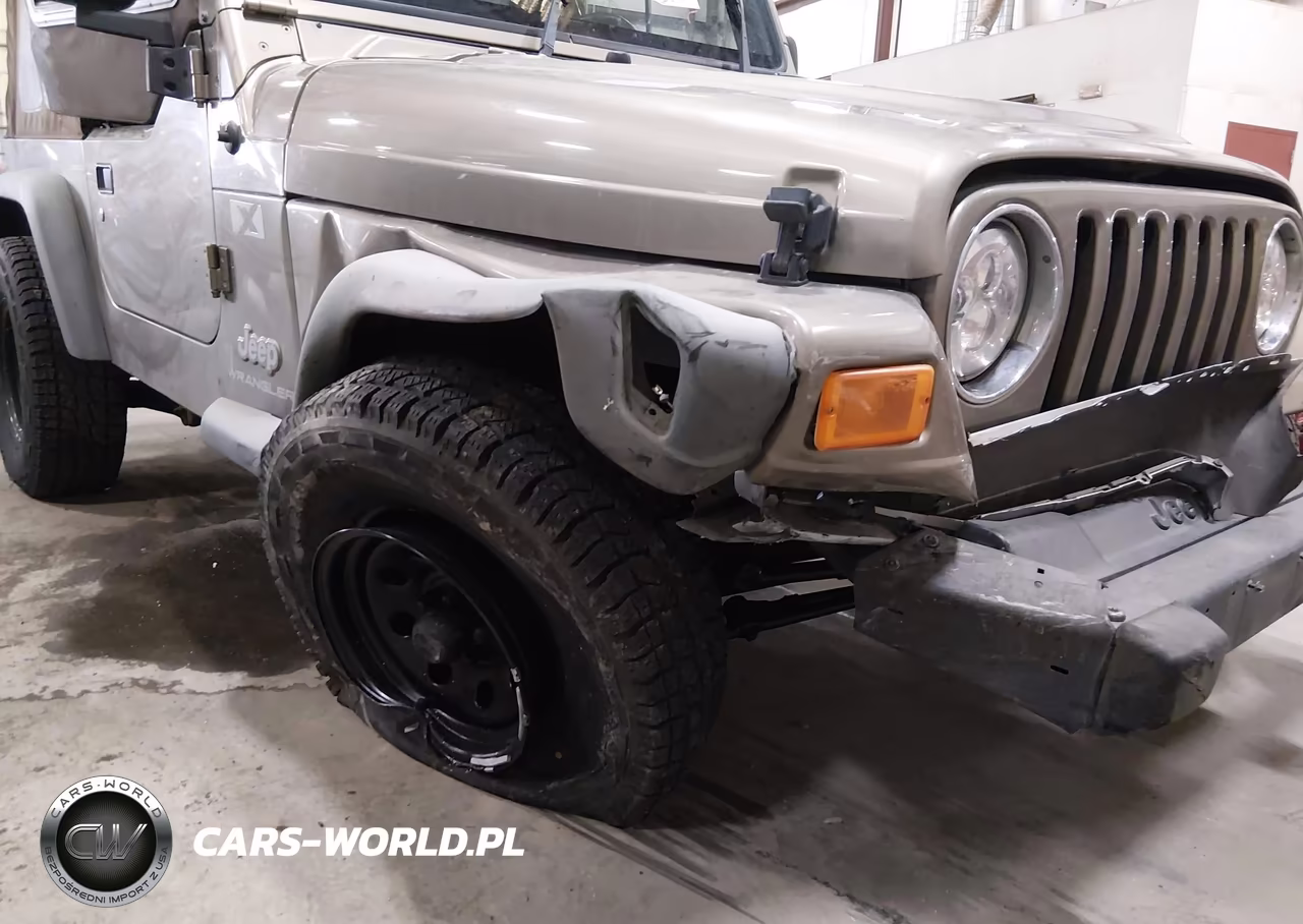 2004 Jeep Wrangler X VIN:1J4FA39S64P787301 - 6
