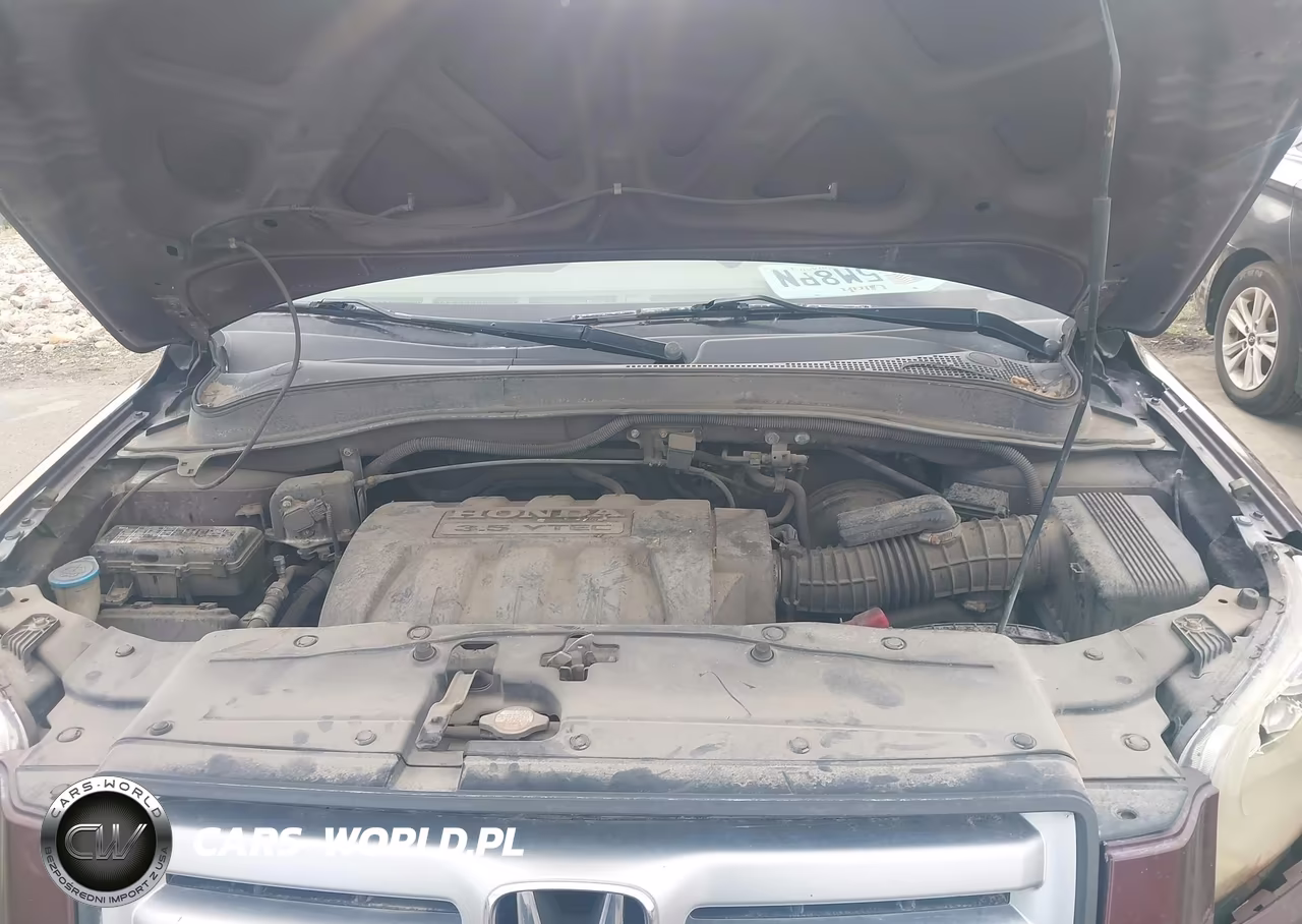 2008 Honda Pilot Se VIN:5FNYF18398B027555 - 10