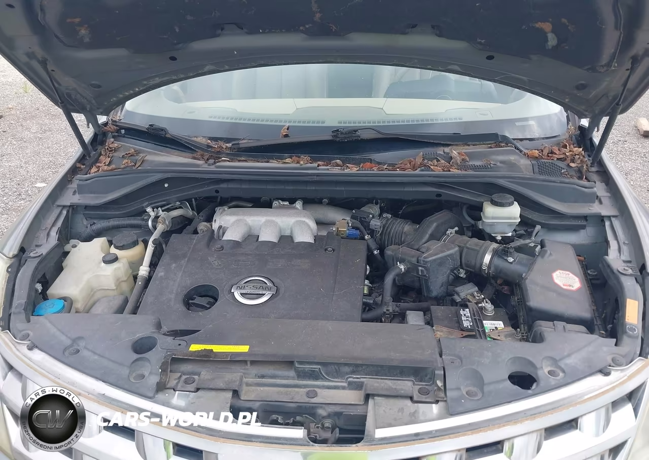 2005 Nissan Murano Se VIN:JN8AZ08W45W423515 - 10