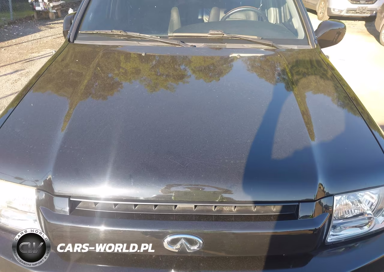 2002 Infiniti Qx4 Luxury VIN:JNRDR09Y62W250956 - 6