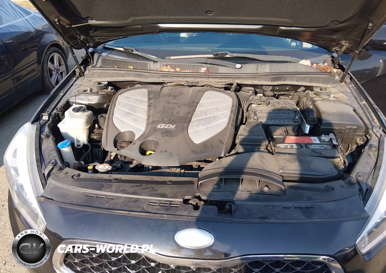 2014 Kia Cadenza Premium VIN:KNALN4D79E5132212 - 10