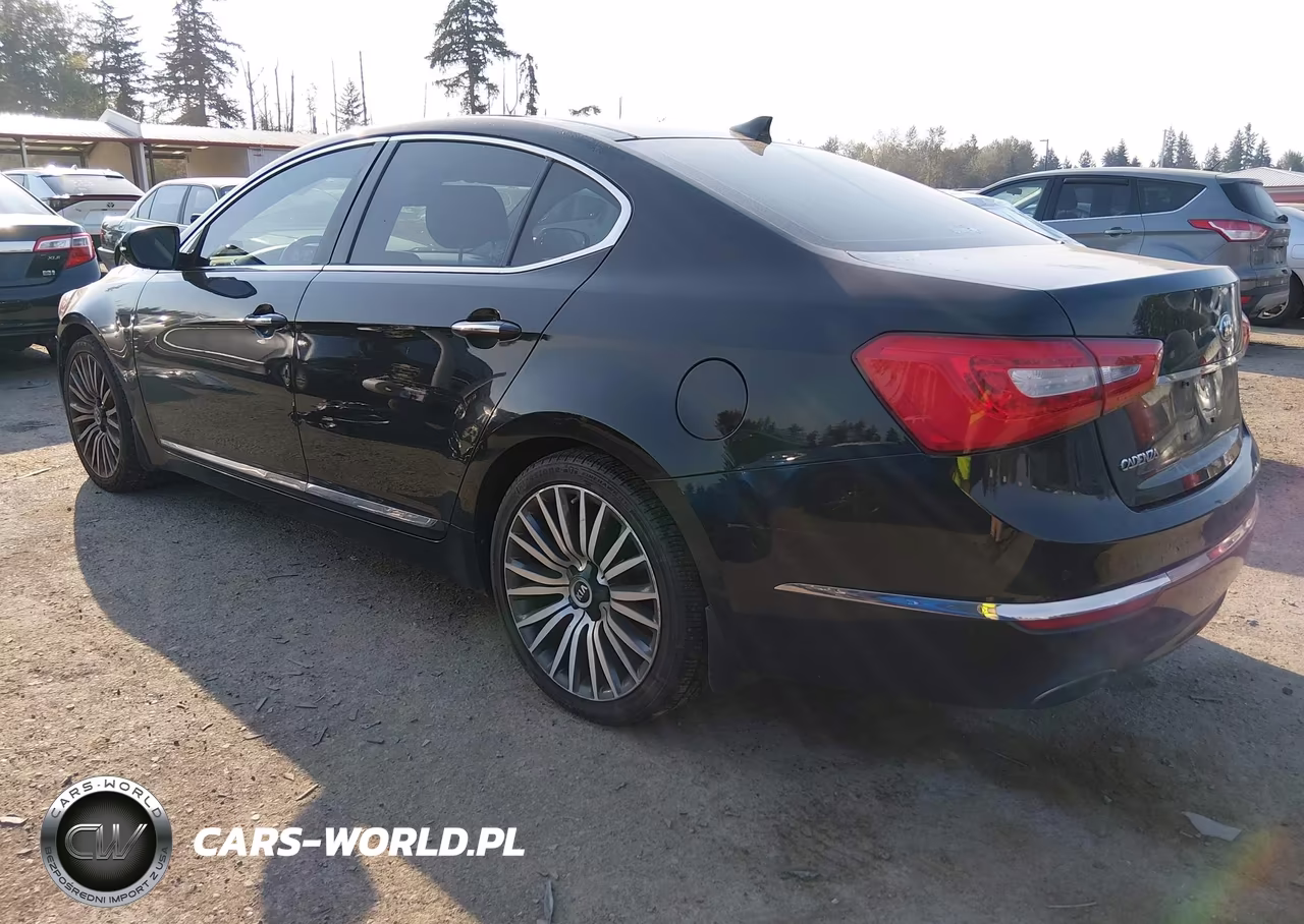 2014 Kia Cadenza Premium VIN:KNALN4D79E5132212 - 3