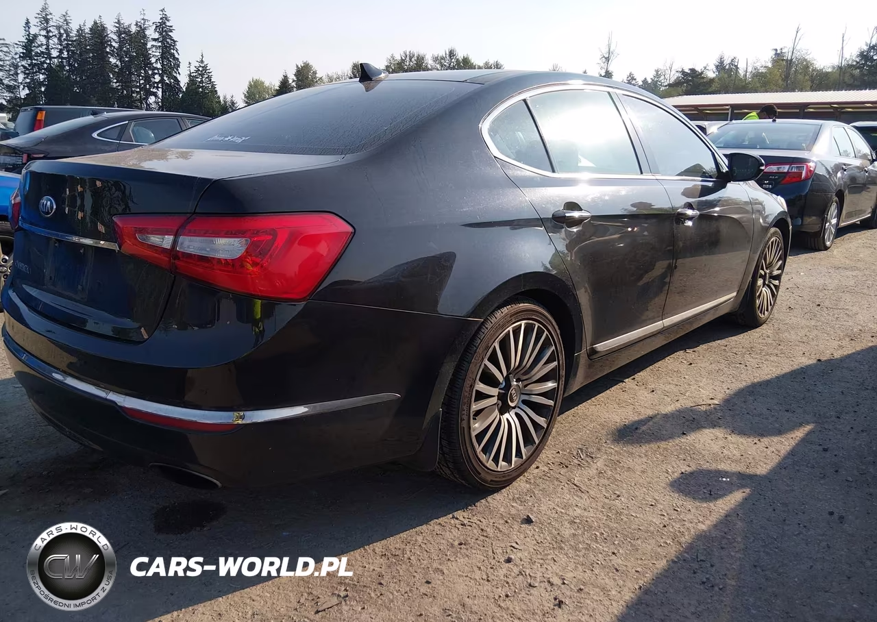2014 Kia Cadenza Premium VIN:KNALN4D79E5132212 - 4