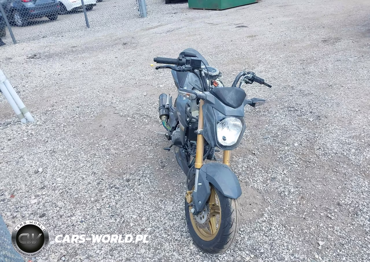 2024 Kawasaki Br125 J – zdjęcie 1 z 11