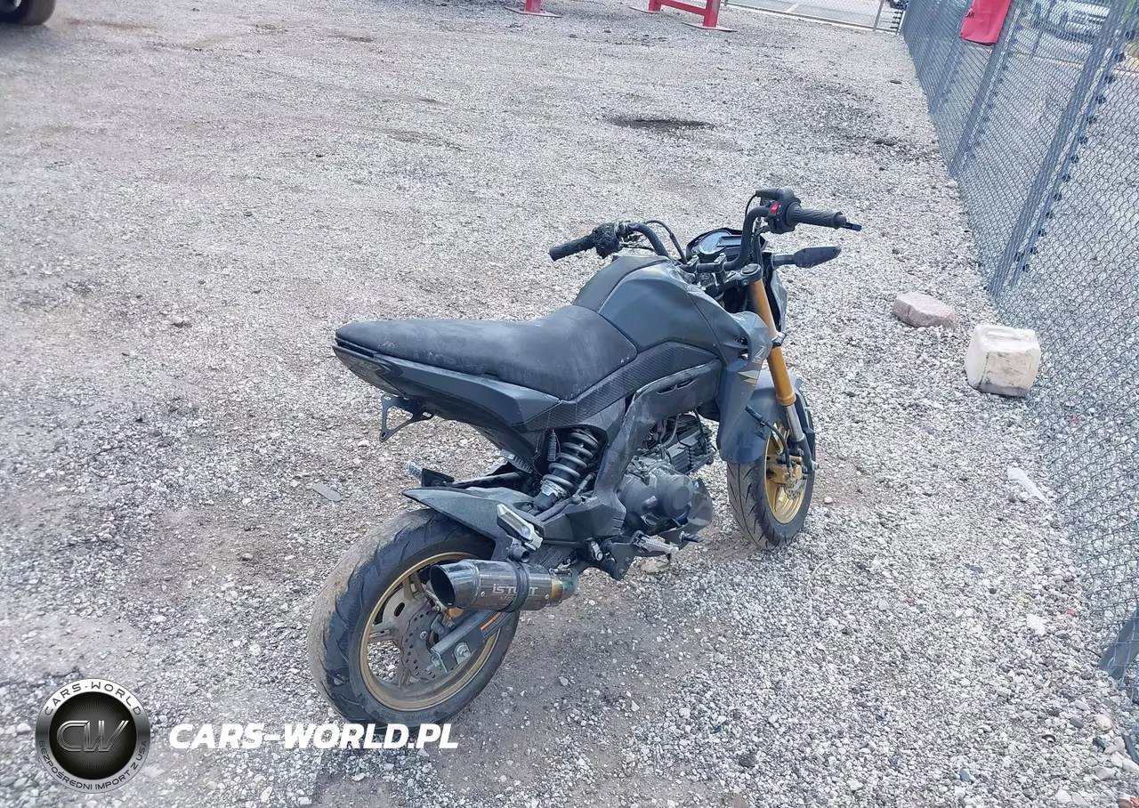 2024 Kawasaki Br125 J VIN:JKABRRJ17RDA31565 - 4