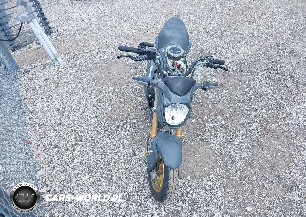 2024 Kawasaki Br125 J VIN:JKABRRJ17RDA31565 - 5