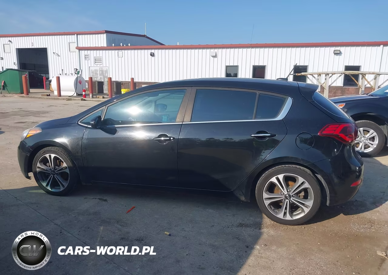 2016 Kia Forte Ex VIN:KNAFX5A81G5617778 - 14