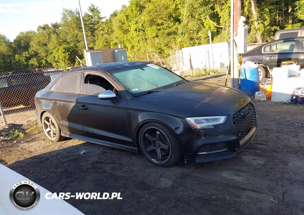 2017 Audi S3 2.0T Premium Plus VIN:WAUB1GFF1H1012204 - 13
