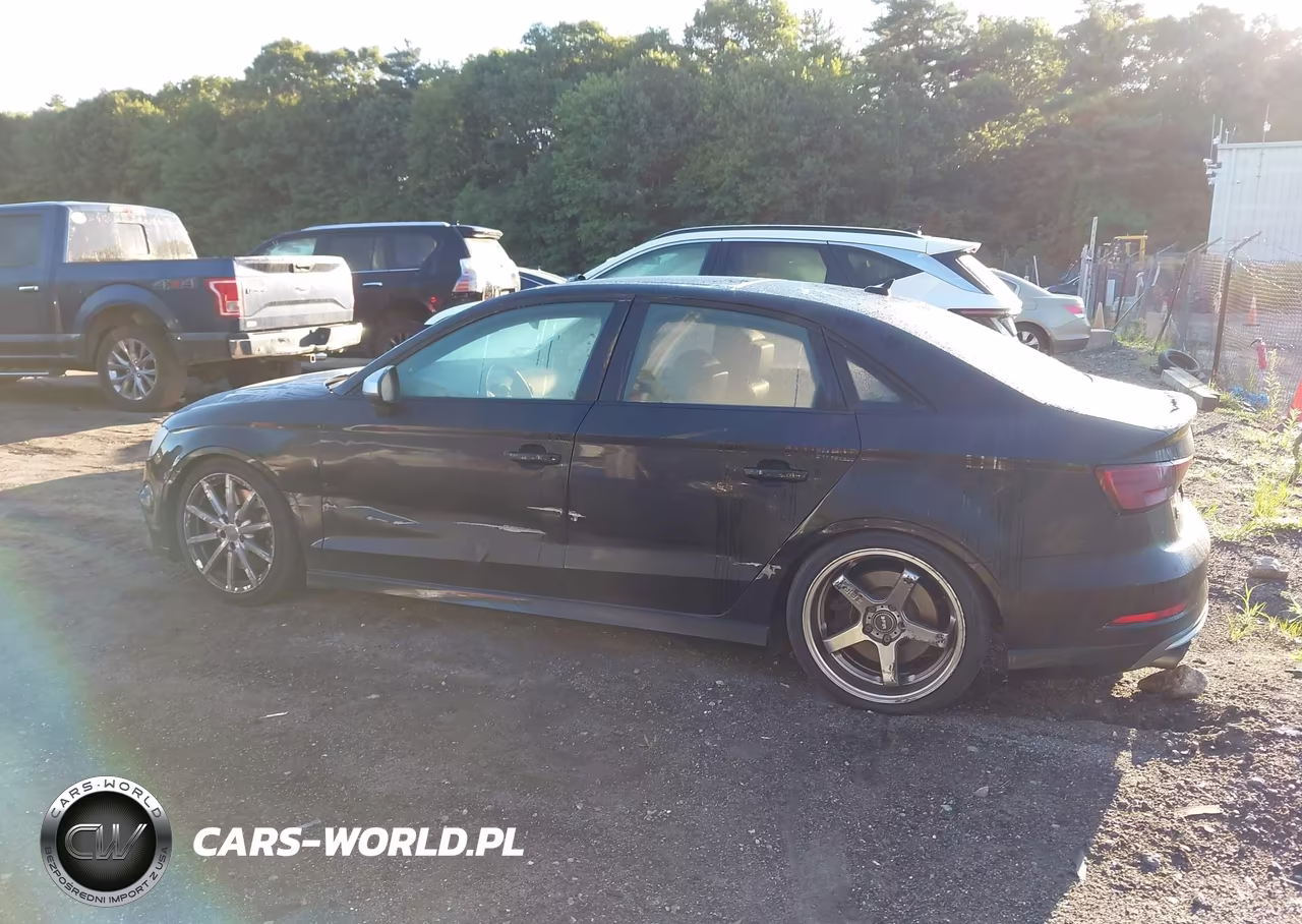 2017 Audi S3 2.0T Premium Plus VIN:WAUB1GFF1H1012204 - 14