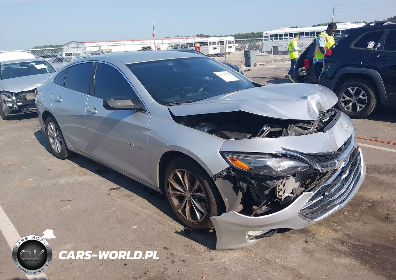 2019 Chevrolet Malibu Lt VIN:1G1ZD5ST3KF165775 - 1