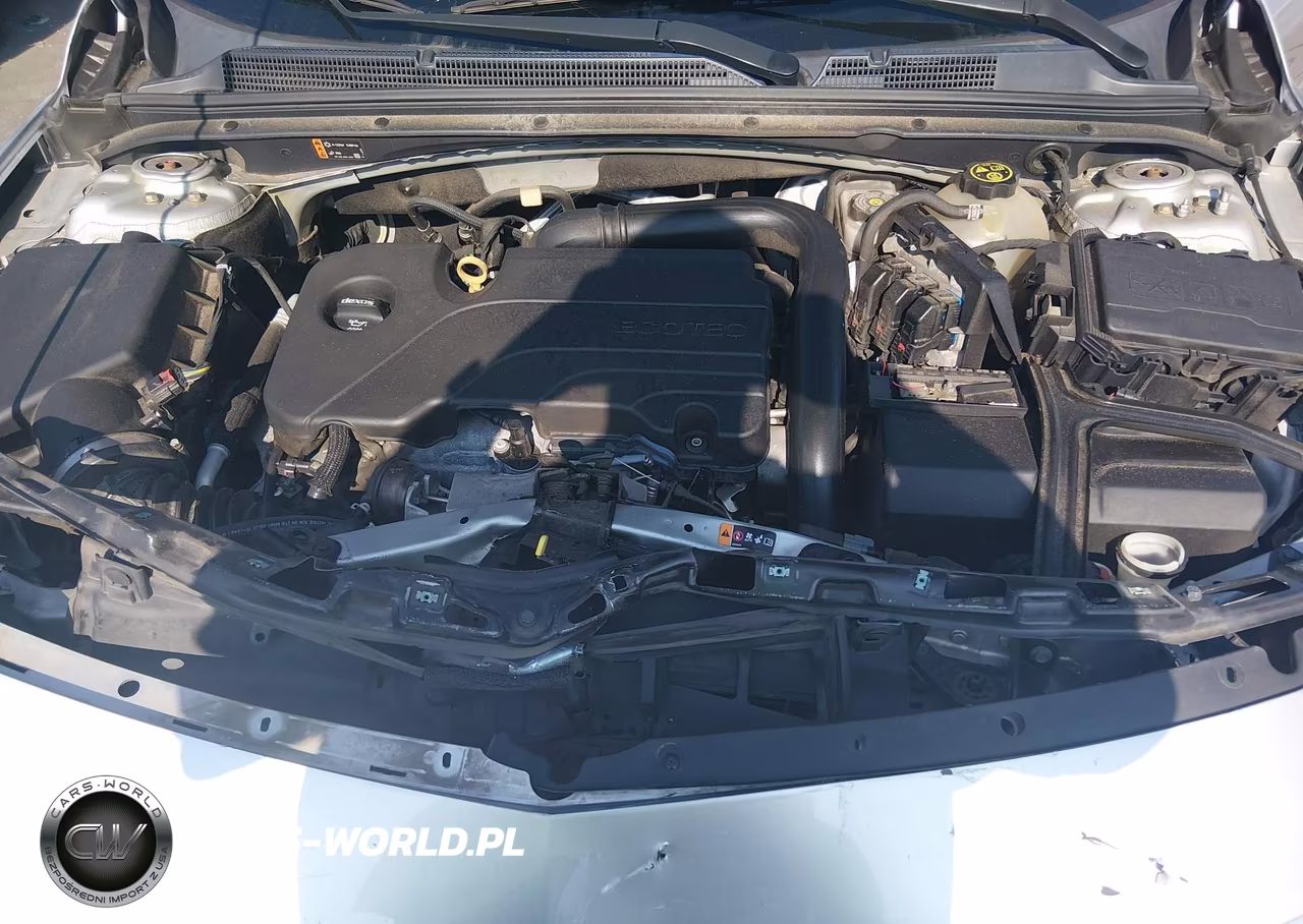 2019 Chevrolet Malibu Lt VIN:1G1ZD5ST3KF165775 - 10