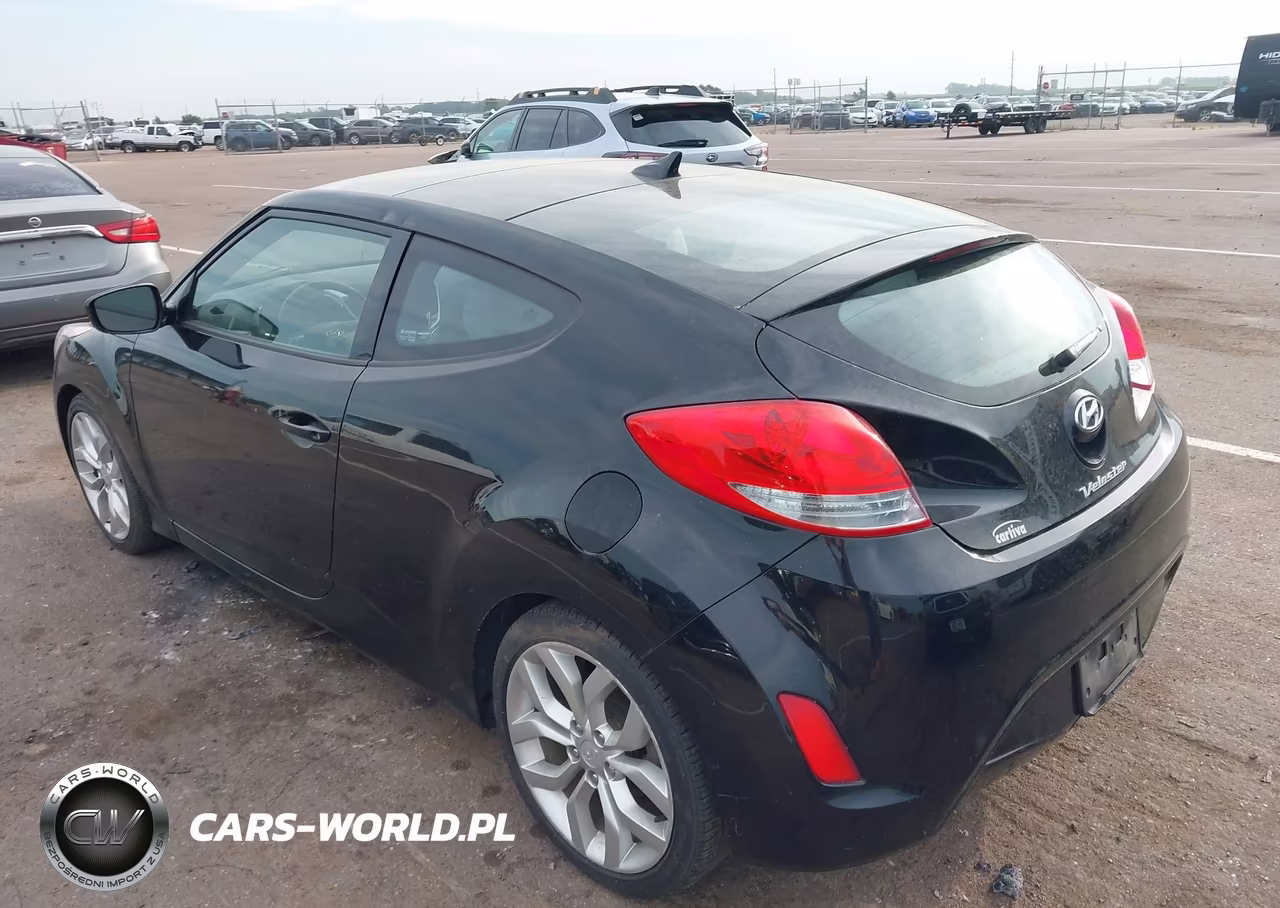 2013 Hyundai Veloster Base W-Gray VIN:KMHTC6AD4DU165150 - 3