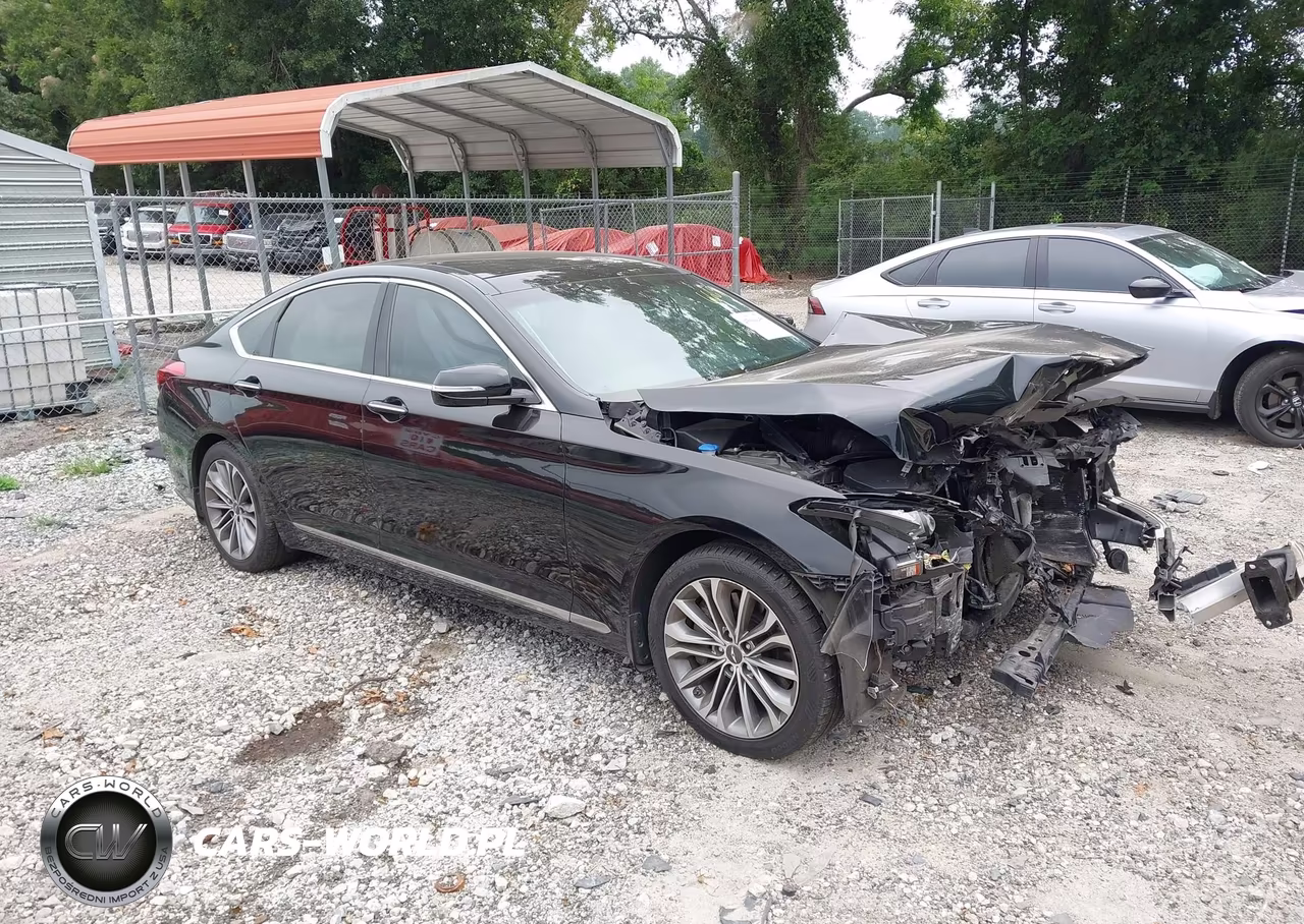 2016 Hyundai Genesis 3.8 VIN:KMHGN4JE7GU106669 - 1