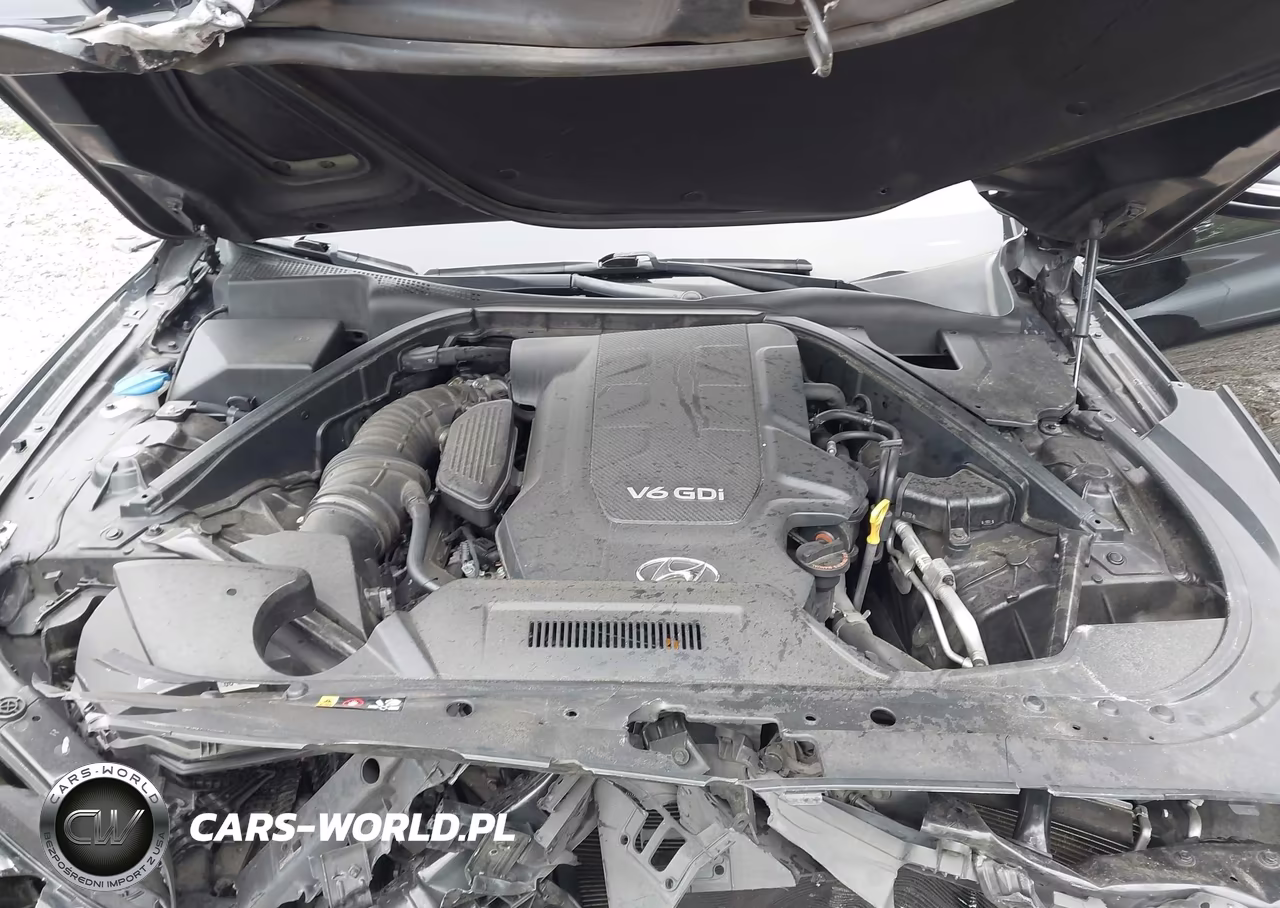 2016 Hyundai Genesis 3.8 VIN:KMHGN4JE7GU106669 - 10