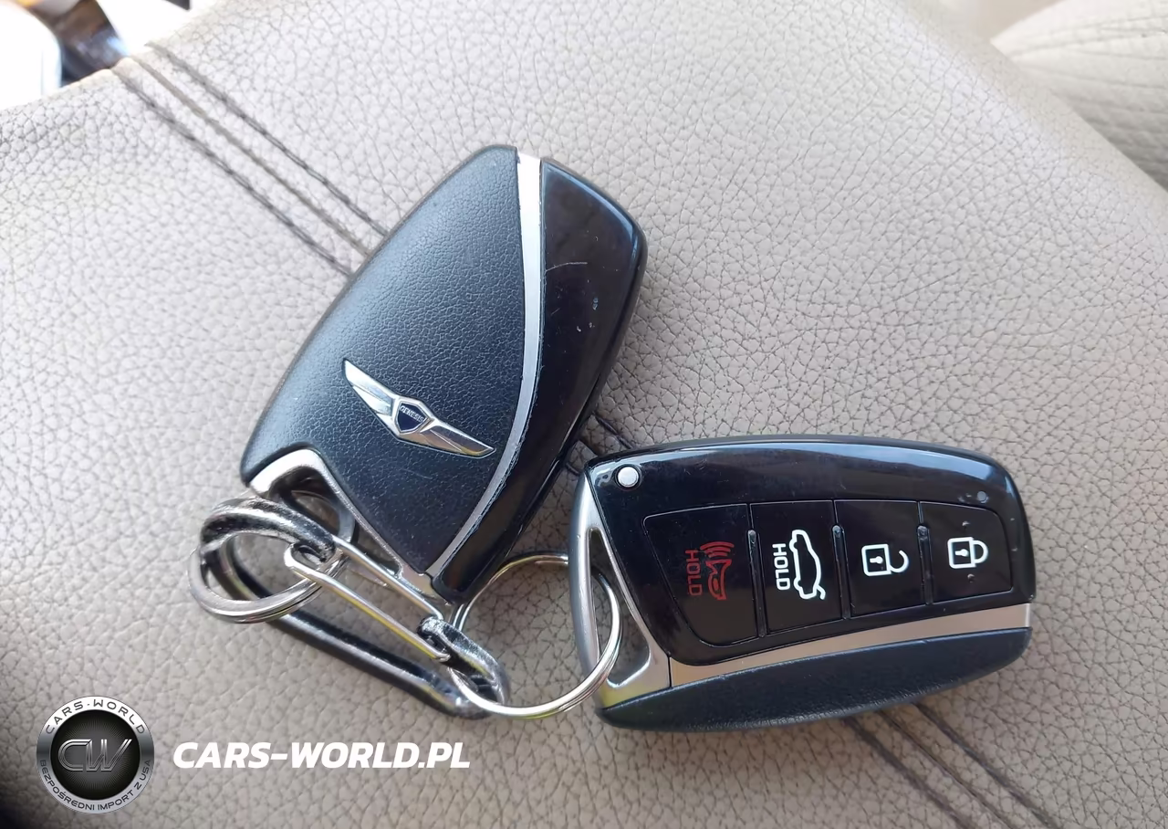2016 Hyundai Genesis 3.8 VIN:KMHGN4JE7GU106669 - 11