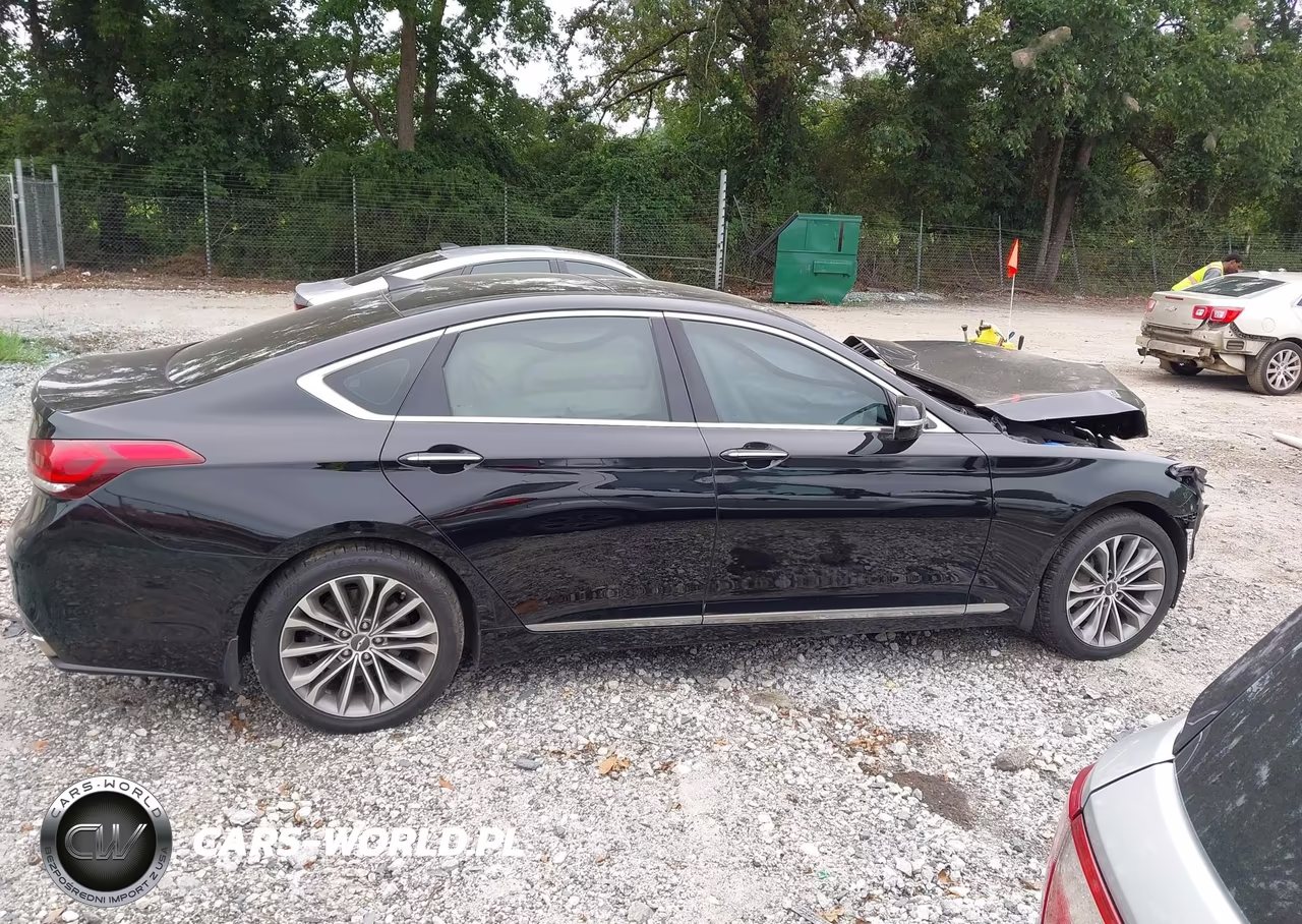 2016 Hyundai Genesis 3.8 VIN:KMHGN4JE7GU106669 - 13