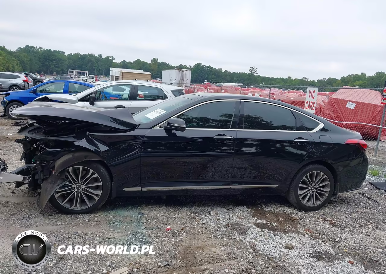 2016 Hyundai Genesis 3.8 VIN:KMHGN4JE7GU106669 - 14
