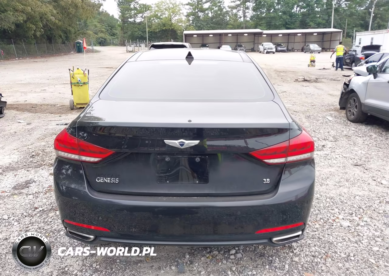 2016 Hyundai Genesis 3.8 VIN:KMHGN4JE7GU106669 - 16