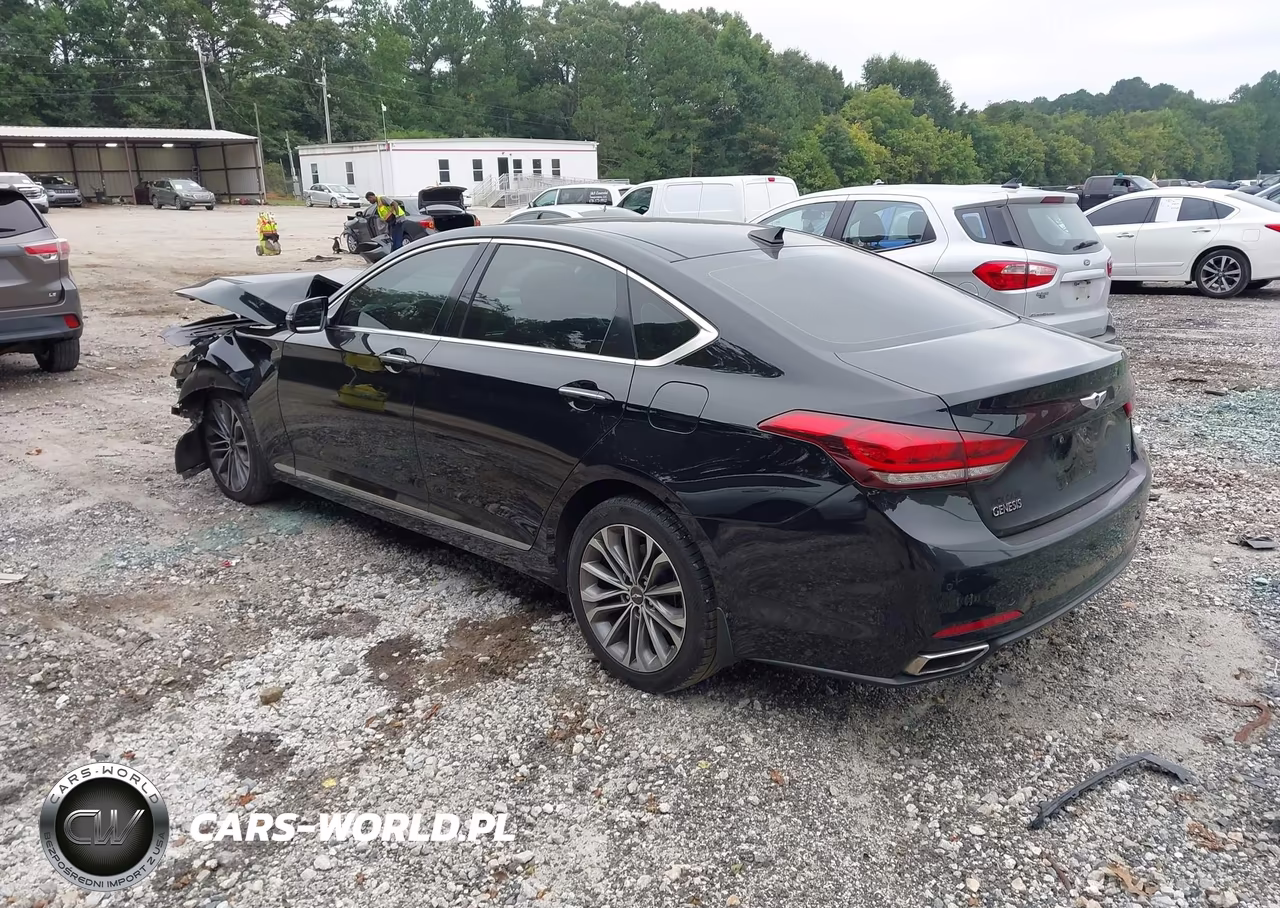 2016 Hyundai Genesis 3.8 VIN:KMHGN4JE7GU106669 - 3