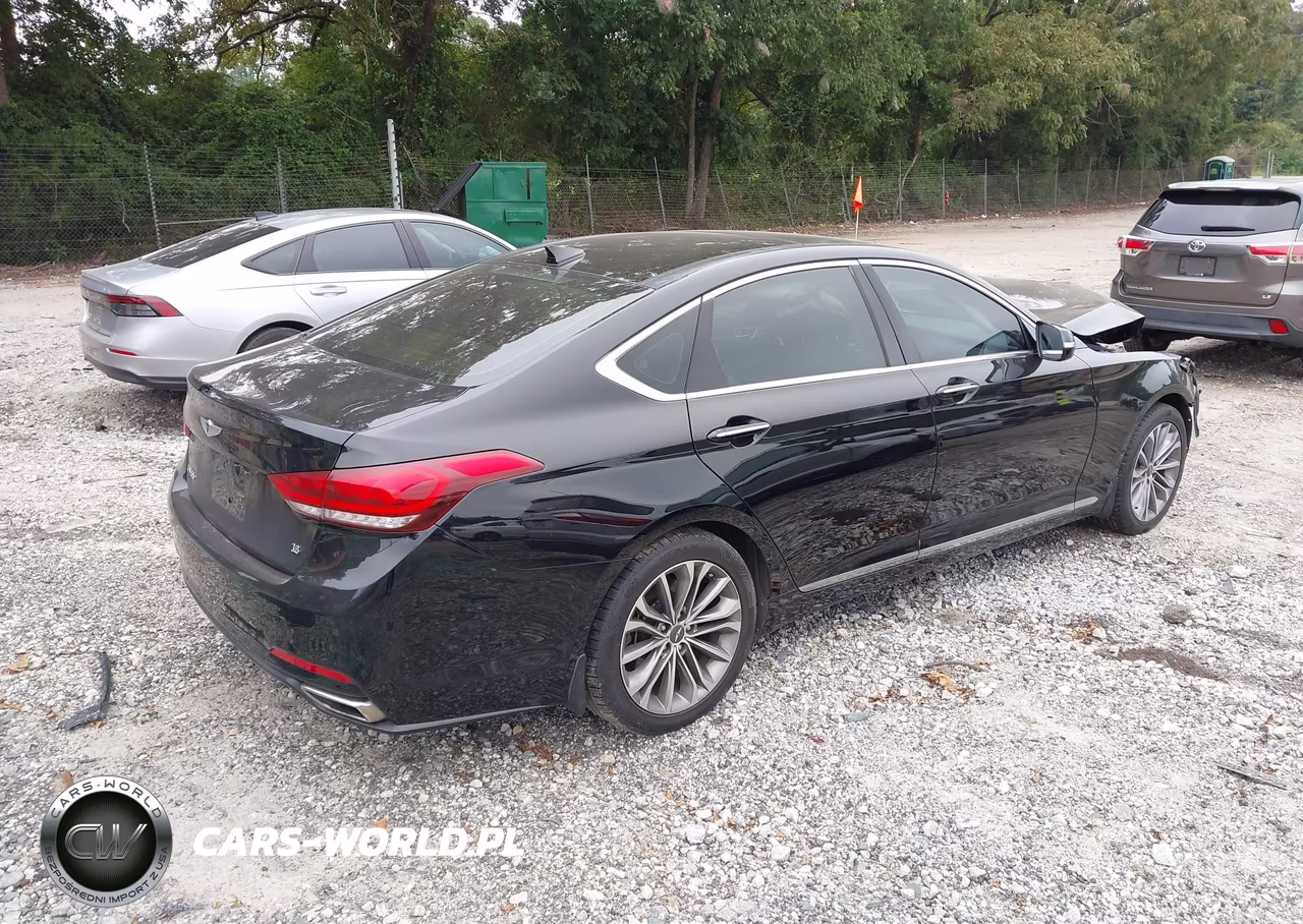 2016 Hyundai Genesis 3.8 VIN:KMHGN4JE7GU106669 - 4