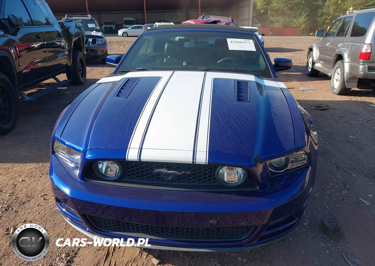 2014 Ford Mustang Gt Premium VIN:1ZVBP8FF1E5260736 - 12