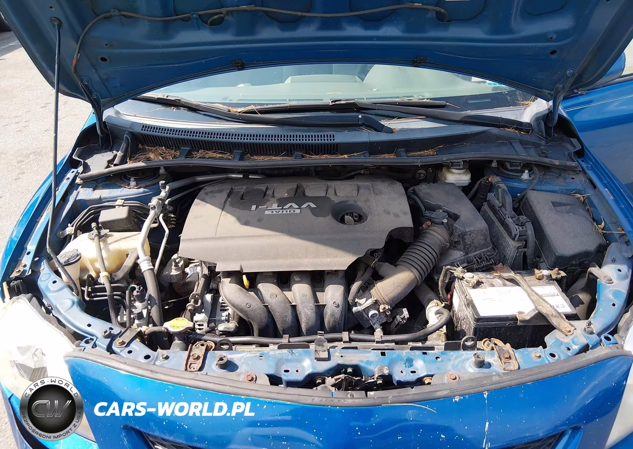 2010 Toyota Corolla Le VIN:2T1BU4EE0AC366380 - 10