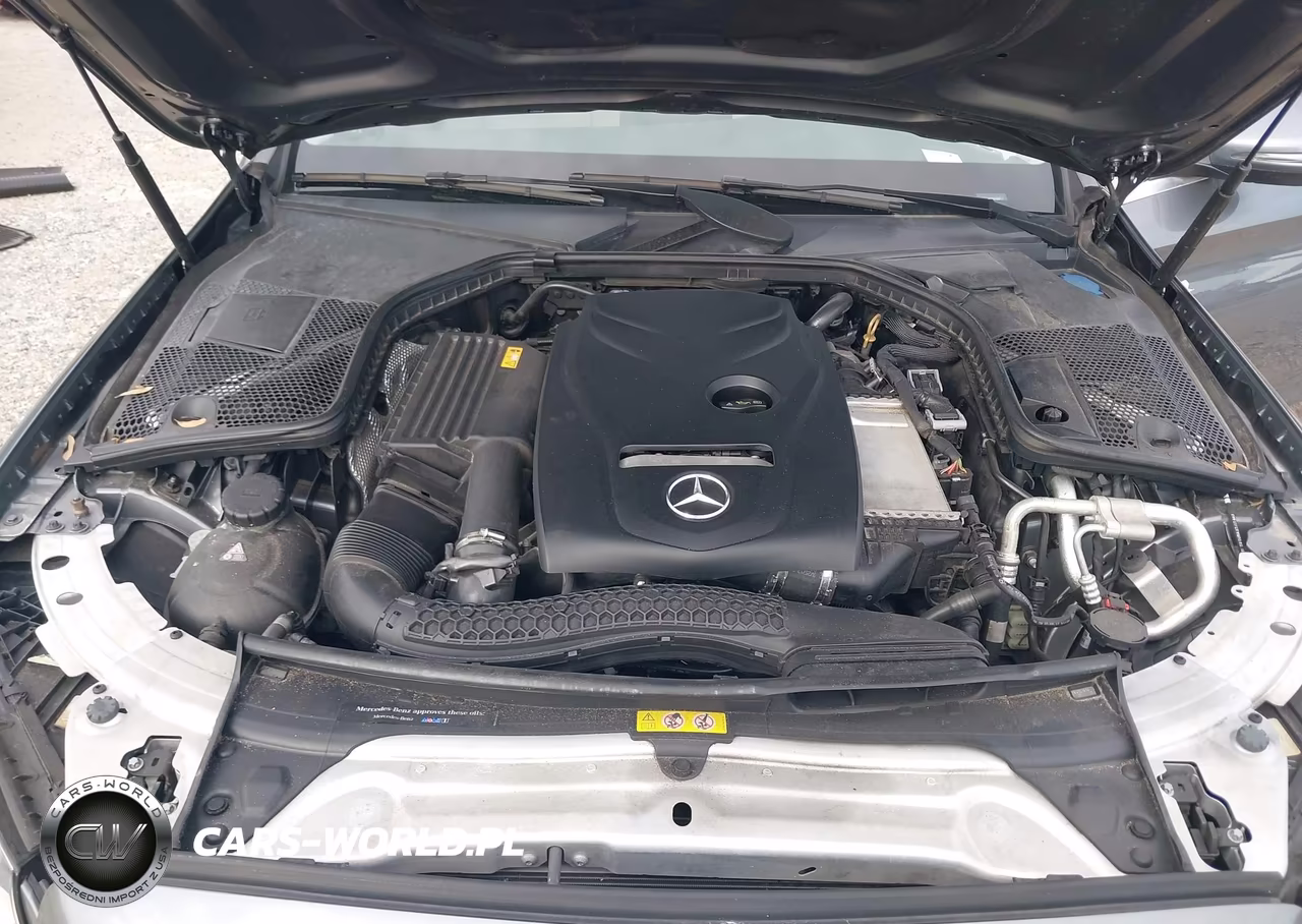2018 Mercedes-Benz C 300 VIN:55SWF4JB0JU247830 - 10