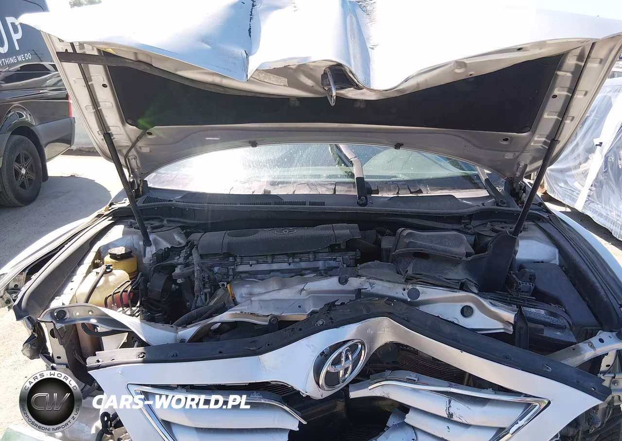 2010 Toyota Camry VIN:4T1BF3EK6AU014199 - 10