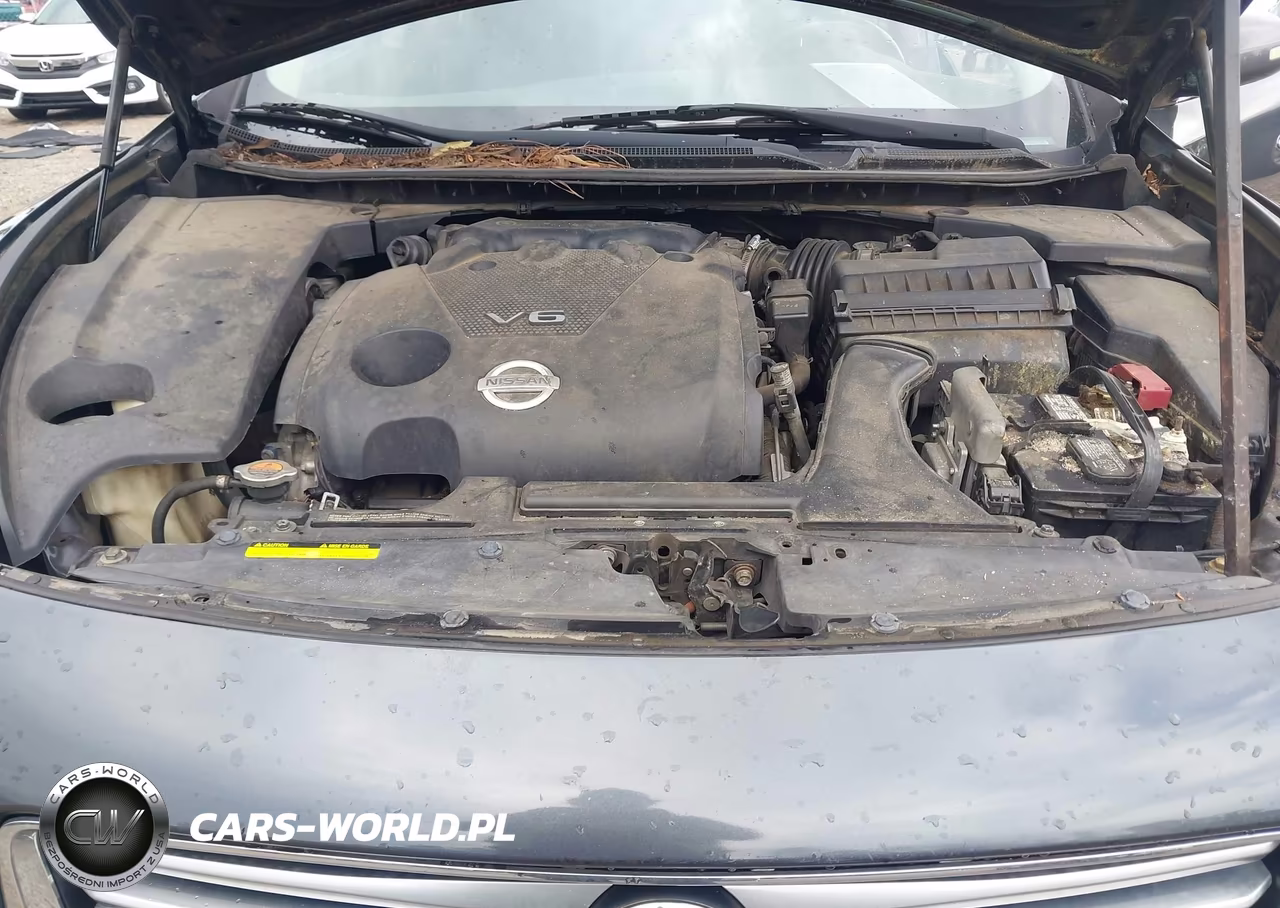 2013 Nissan Maxima 3.5 Sv VIN:1N4AA5AP4DC819498 - 10