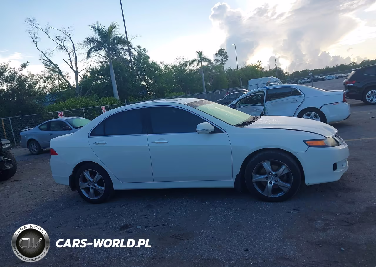 2006 Acura Tsx VIN:JH4CL96816C011875 - 13
