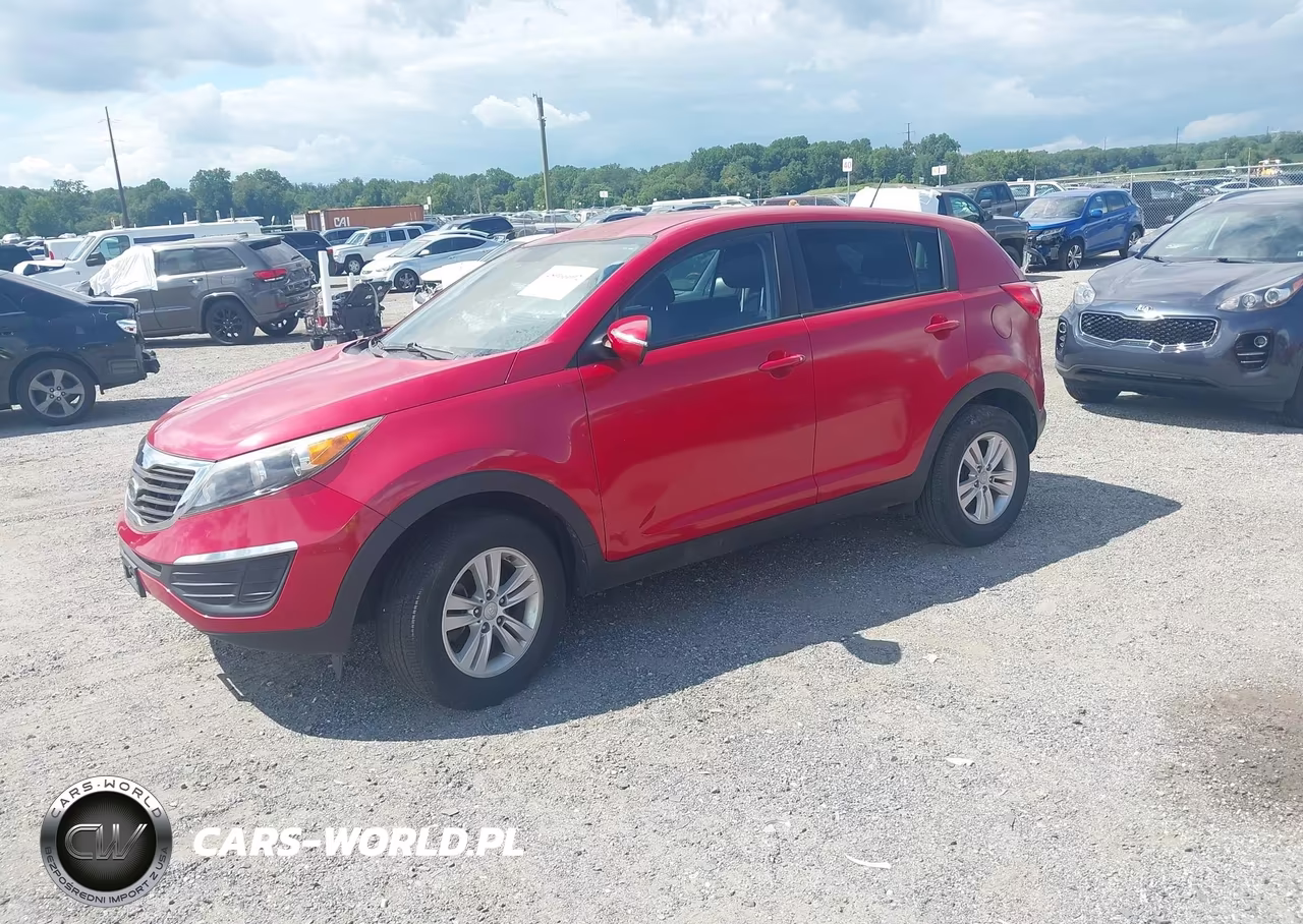 2011 Kia Sportage Lx VIN:KNDPB3A29B7055955 - 2