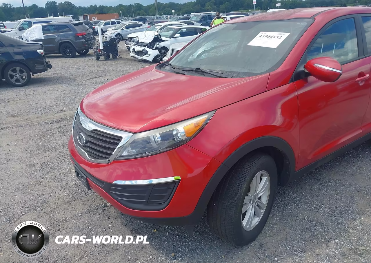 2011 Kia Sportage Lx VIN:KNDPB3A29B7055955 - 6