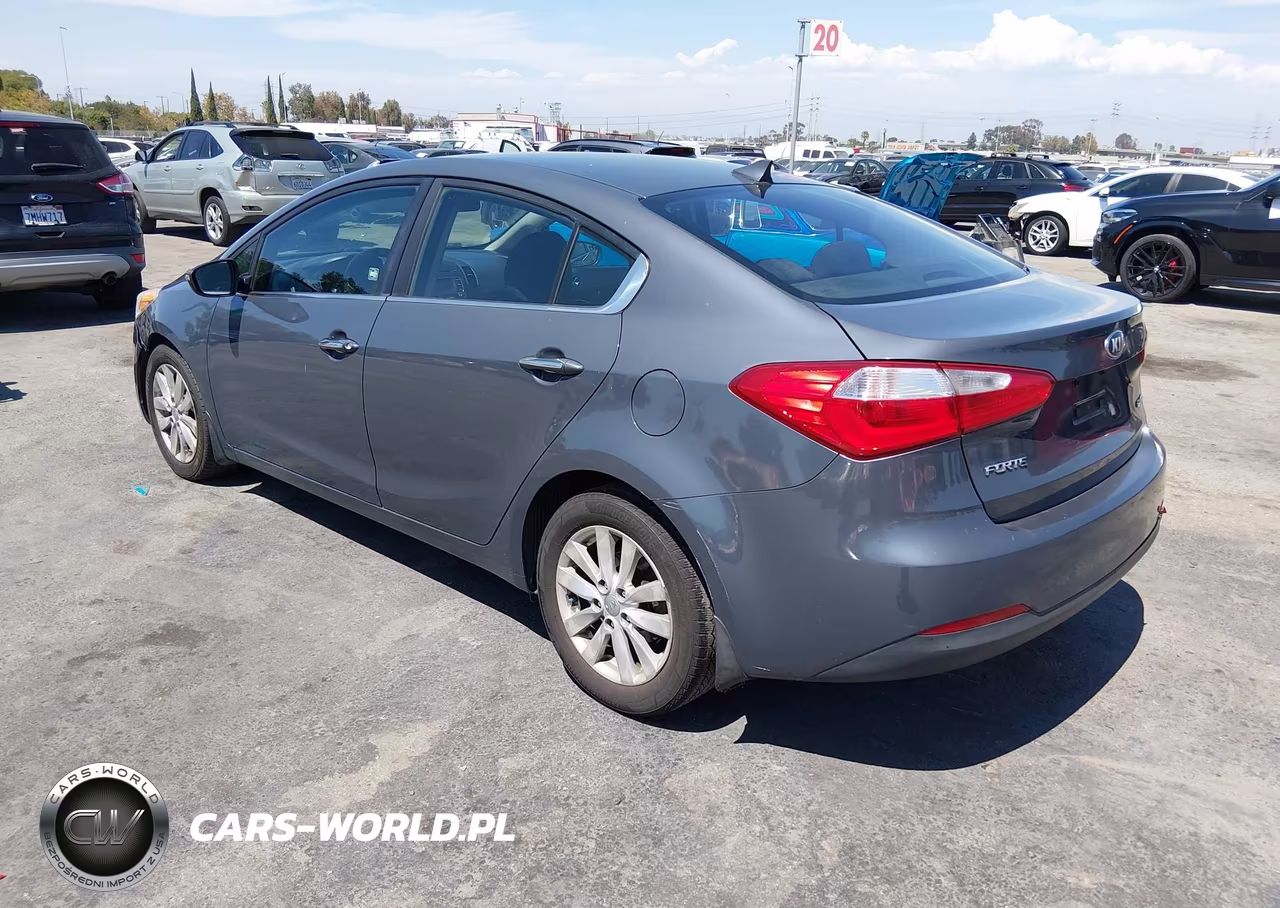 2014 Kia Forte Ex VIN:KNAFX4A80E5116307 - 3