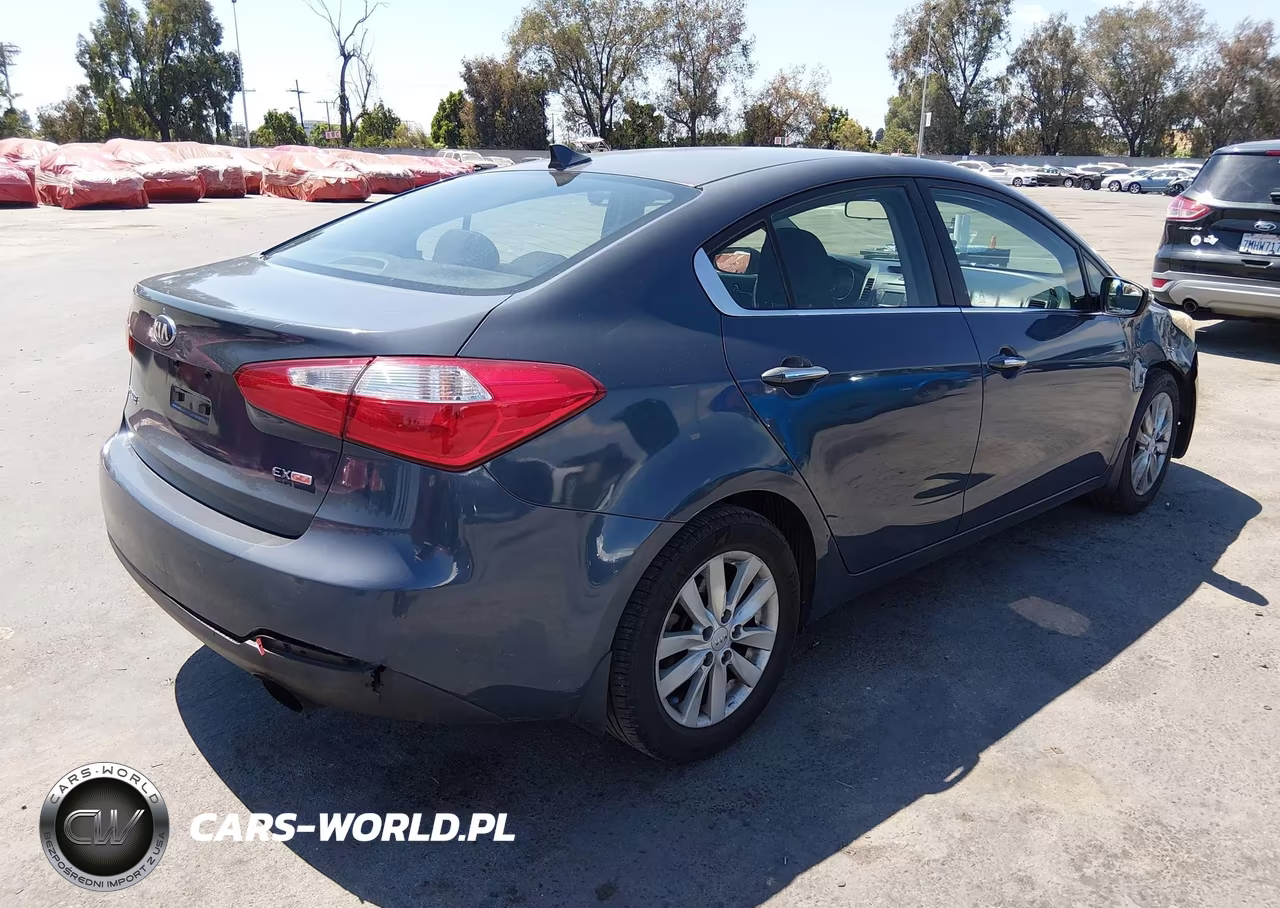 2014 Kia Forte Ex VIN:KNAFX4A80E5116307 - 4