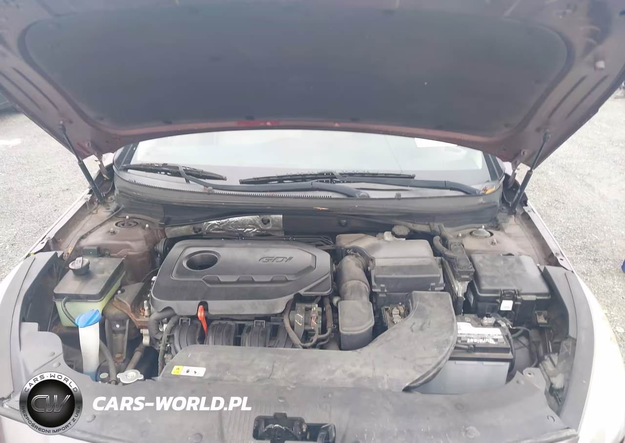 2015 Hyundai Sonata Se VIN:5NPE24AF0FH027768 - 10