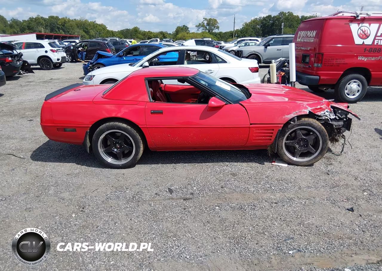 1993 Chevrolet Corvette VIN:1G1YY33PXP5120349 - 14