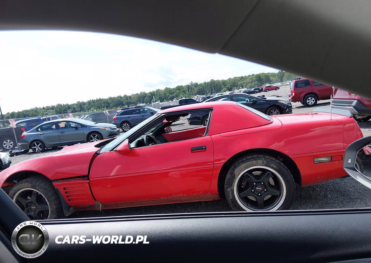 1993 Chevrolet Corvette VIN:1G1YY33PXP5120349 - 15