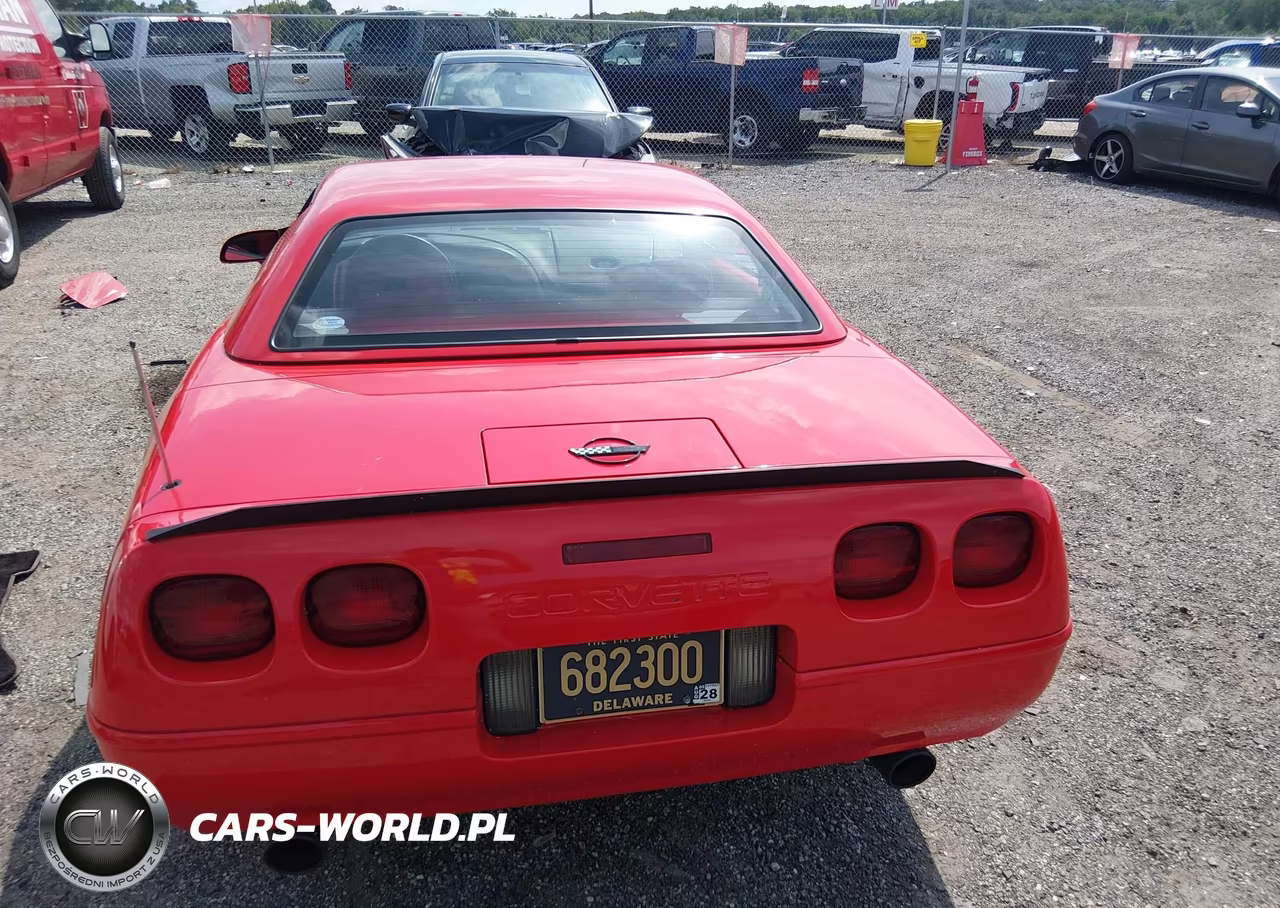 1993 Chevrolet Corvette VIN:1G1YY33PXP5120349 - 17