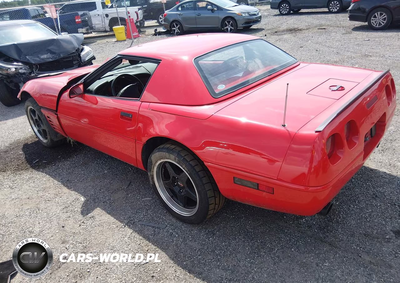 1993 Chevrolet Corvette VIN:1G1YY33PXP5120349 - 3