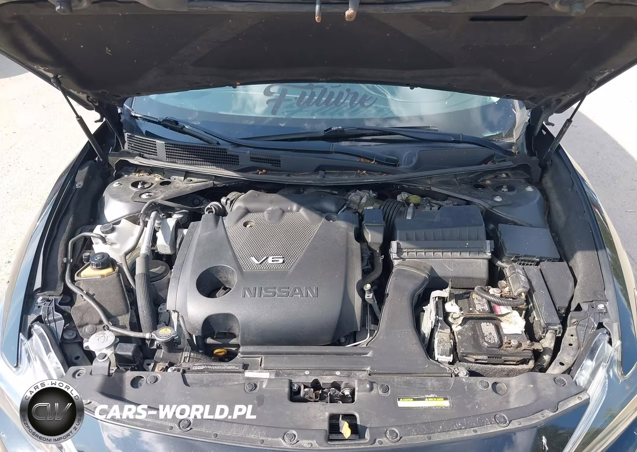 2018 Nissan Maxima 3.5 Sv VIN:1N4AA6AP7JC363448 - 10
