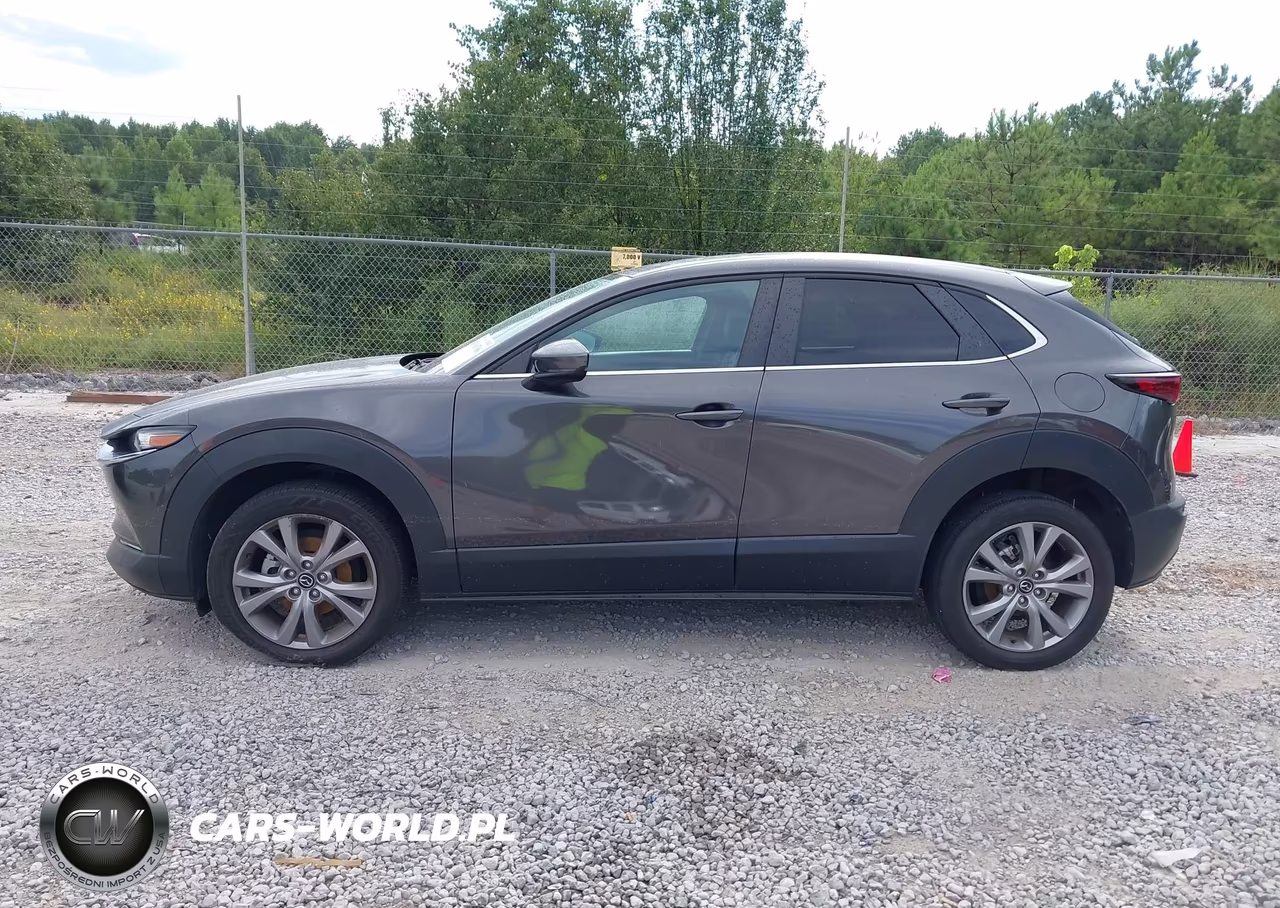 2021 Mazda Cx-30 Select VIN:3MVDMABL9MM259008 - 14