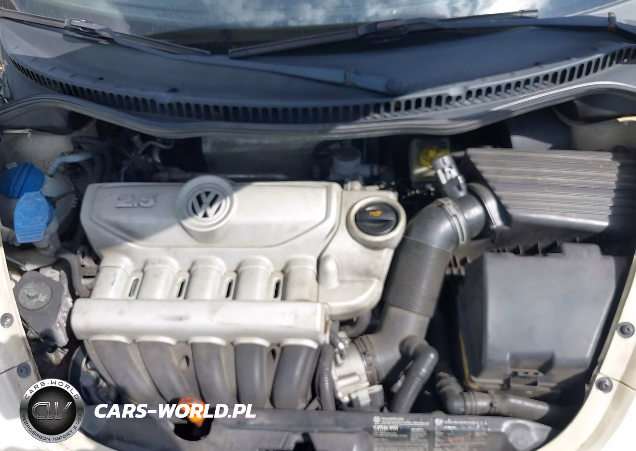 2006 Volkswagen New Beetle 2.5 VIN:3VWRW31C66M415147 - 10
