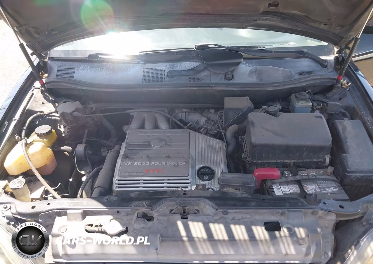 2000 Lexus Rx 300 VIN:JT6HF10U7Y0147218 - 10