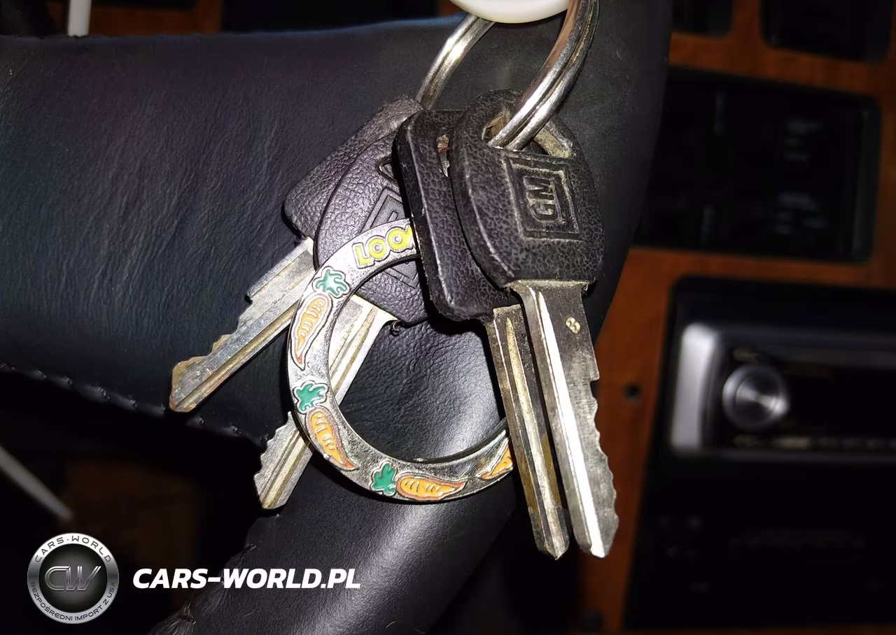 1985 Chevrolet Corvette VIN:1G1YY0780F5135006 - 11